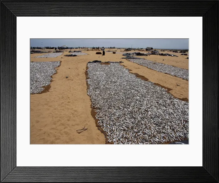 Framed Print : Picture No. 10869303 Framed Print : Picture No. 10869303