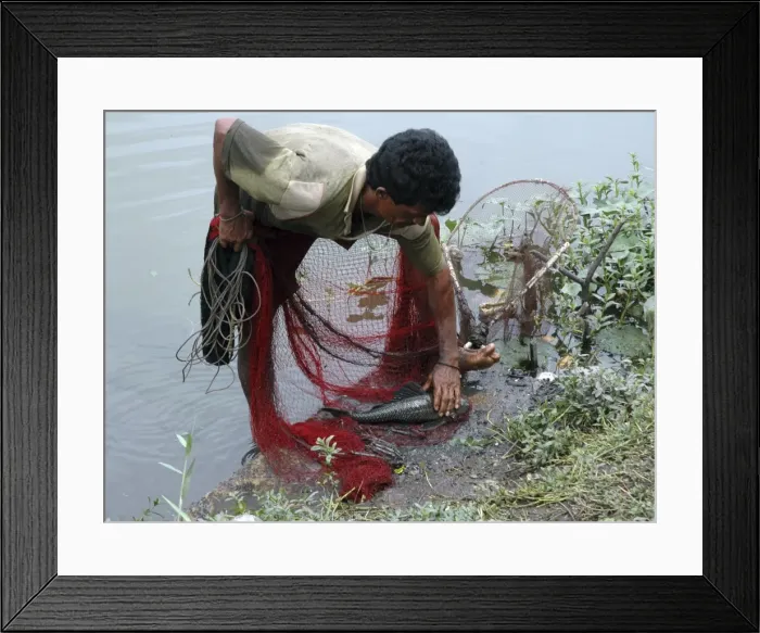 Framed Print : Picture No. 10869298