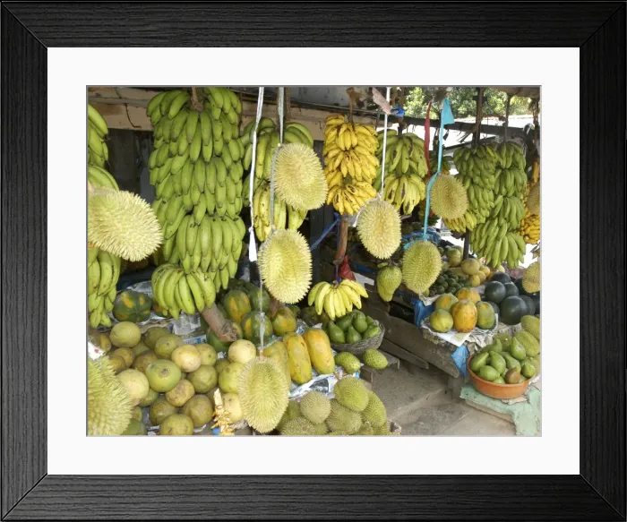 Framed Print : Picture No. 10869325 Framed Print : Picture No. 10869325