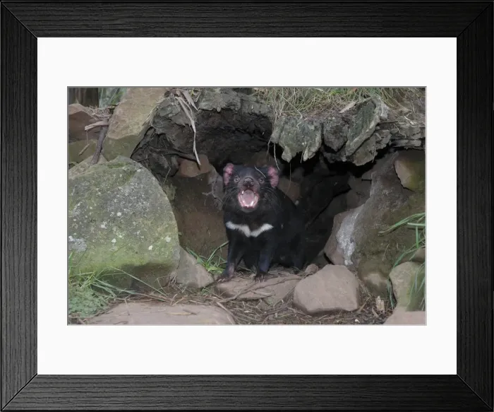 Framed Print : Picture No. 10869360 Framed Print : Picture No. 10869360
