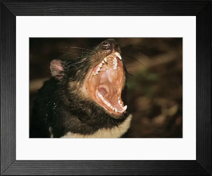 Framed Print : Picture No. 10869365 Framed Print : Picture No. 10869365