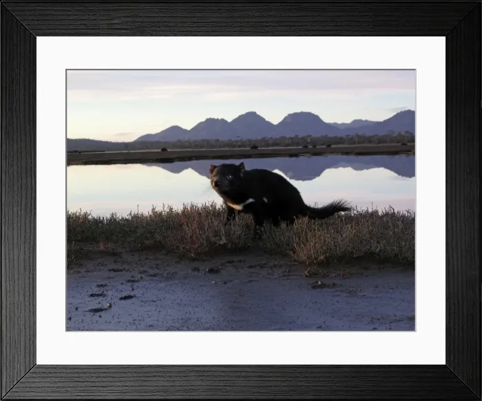 Framed Print : Picture No. 10869363 Framed Print : Picture No. 10869363