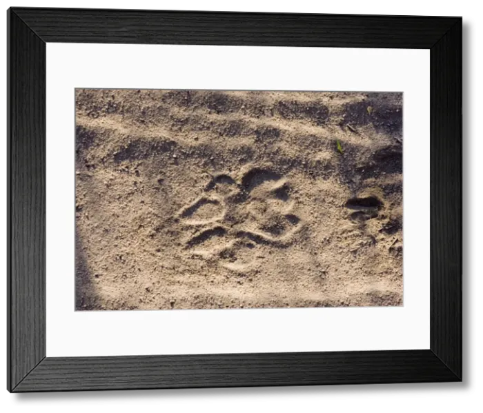Framed Print : Picture No. 10870086 Framed Print : Picture No. 10870086