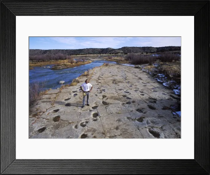 Framed Print : Picture No. 10870135 Framed Print : Picture No. 10870135