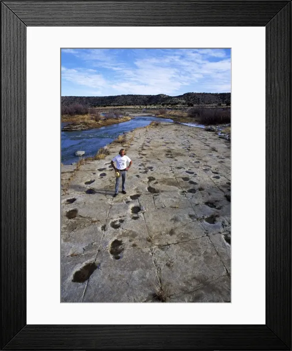 Framed Print : Picture No. 10870136 Framed Print : Picture No. 10870136