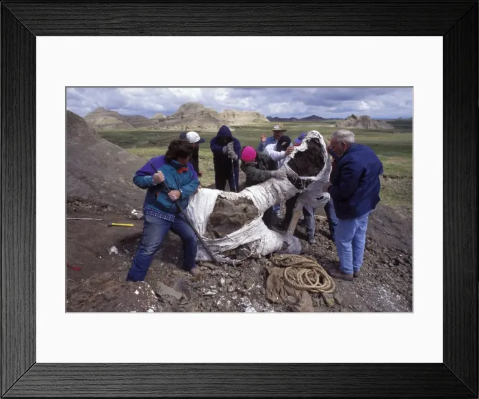 Framed Print : Picture No. 10870170 Framed Print : Picture No. 10870170