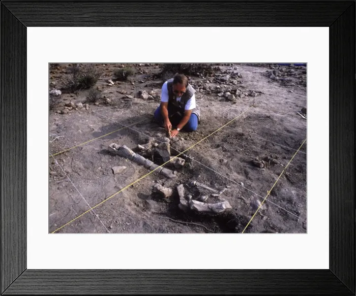 Framed Print : Picture No. 10870141 Framed Print : Picture No. 10870141