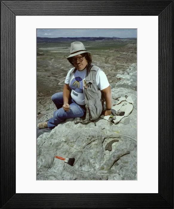 Framed Print : Picture No. 10870144 Framed Print : Picture No. 10870144