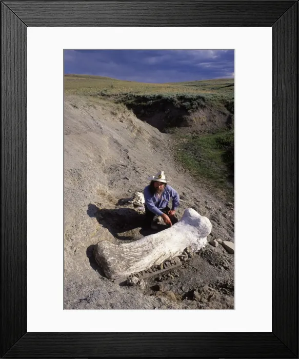 Framed Print : Picture No. 10870207