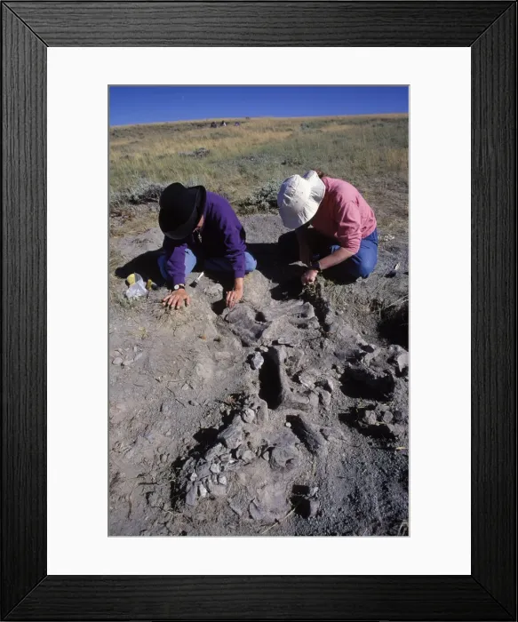 Framed Print : Picture No. 10870208 Framed Print : Picture No. 10870208