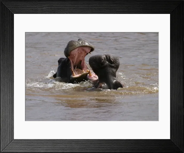 Framed Print : Picture No. 10870215 Framed Print : Picture No. 10870215