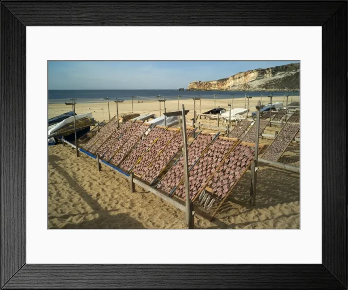 Framed Print : Picture No. 10870292