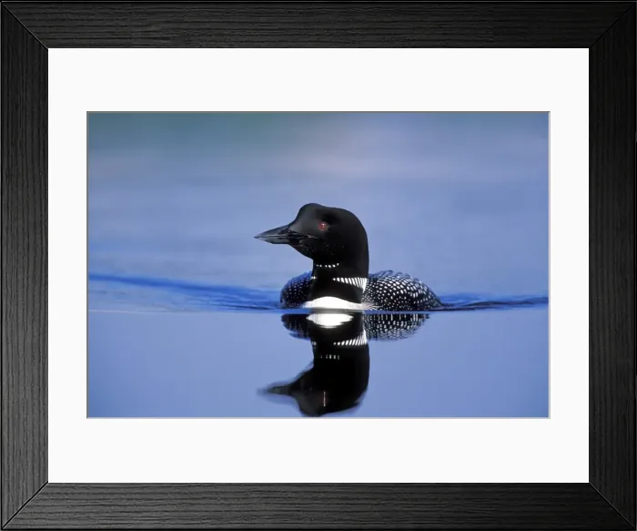 Framed Print : Picture No. 10870398 Framed Print : Picture No. 10870398