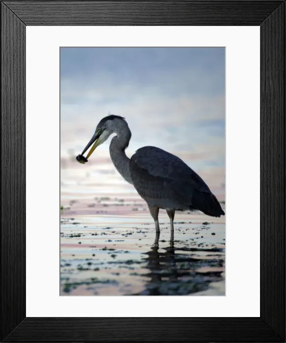 Framed Print : Picture No. 10870422 Framed Print : Picture No. 10870422