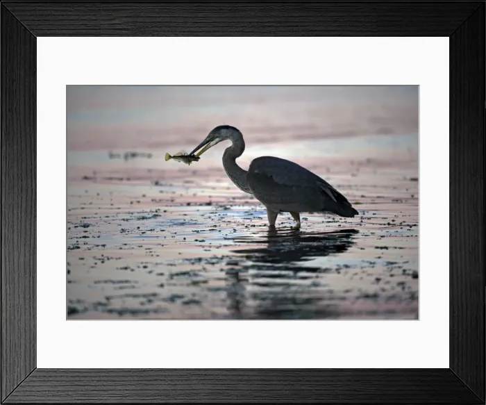 Framed Print : Picture No. 10870423 Framed Print : Picture No. 10870423