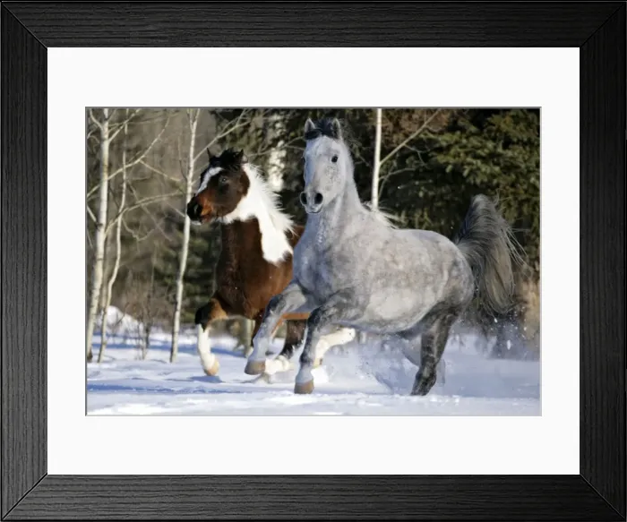 Framed Print : Picture No. 10870459 Framed Print : Picture No. 10870459