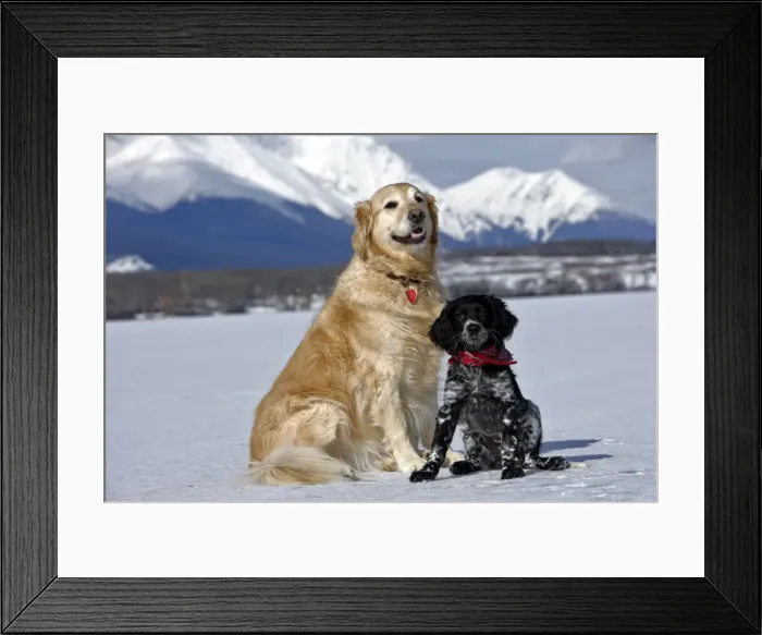 Framed Print : Picture No. 10870464 Framed Print : Picture No. 10870464