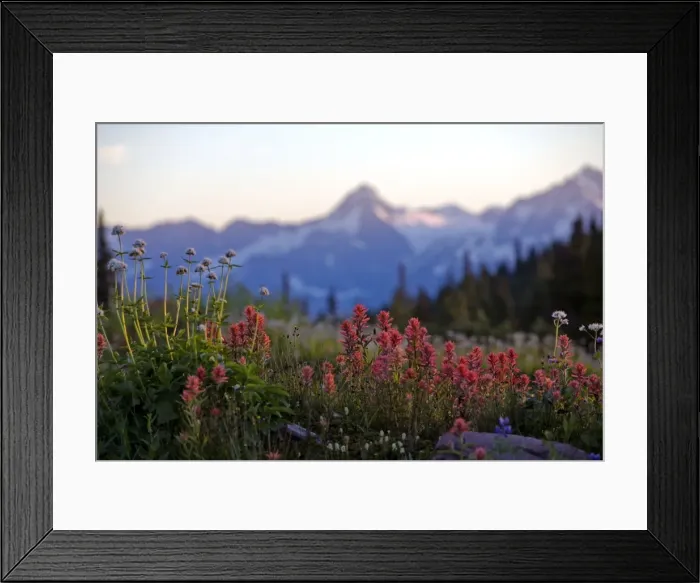 Framed Print : Picture No. 10870499 Framed Print : Picture No. 10870499
