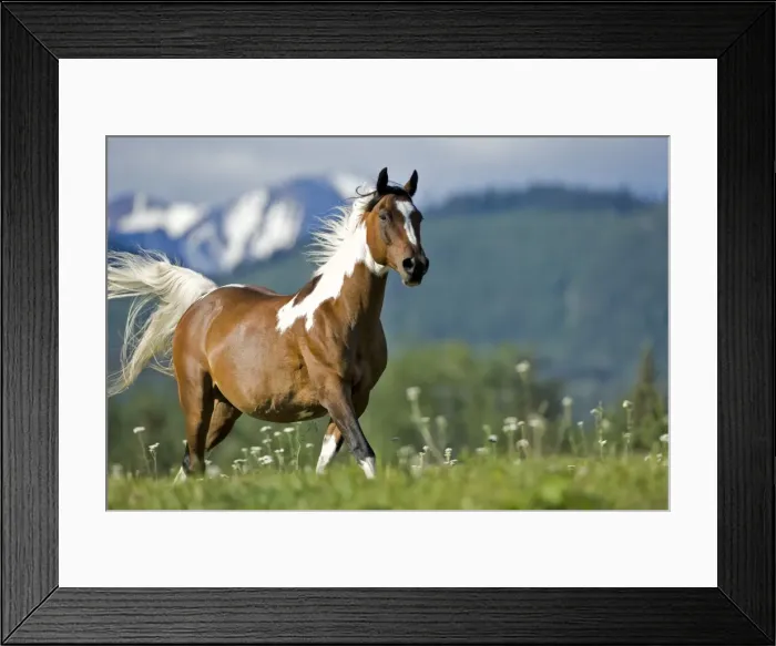 Framed Print : Picture No. 10870523 Framed Print : Picture No. 10870523
