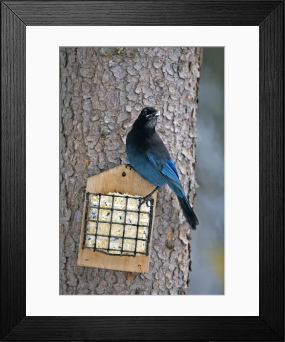 Framed Print : Picture No. 10870535 Framed Print : Picture No. 10870535