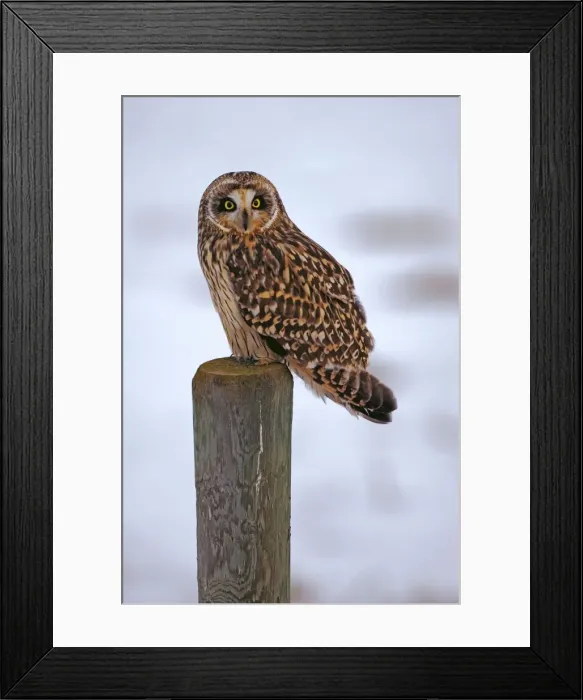 Framed Print : Picture No. 10870548 Framed Print : Picture No. 10870548