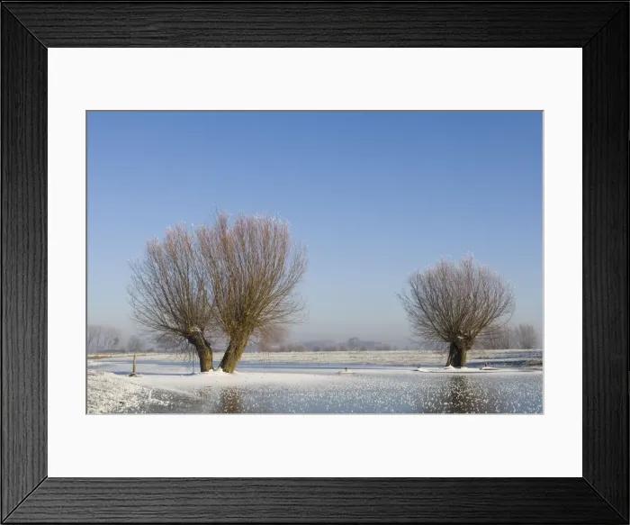 Framed Print : Picture No. 10870568 Framed Print : Picture No. 10870568