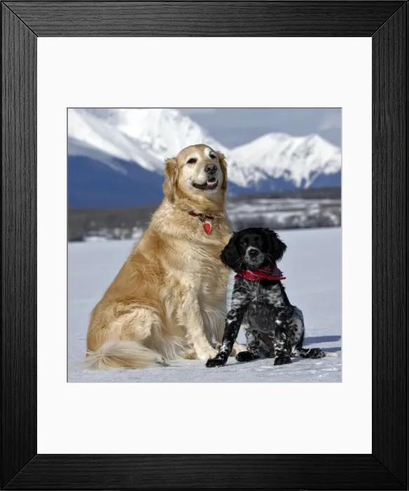 Framed Print : Picture No. 10870588 Framed Print : Picture No. 10870588