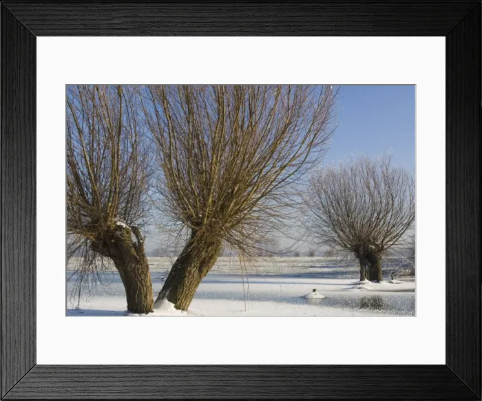 Framed Print : Picture No. 10870563 Framed Print : Picture No. 10870563