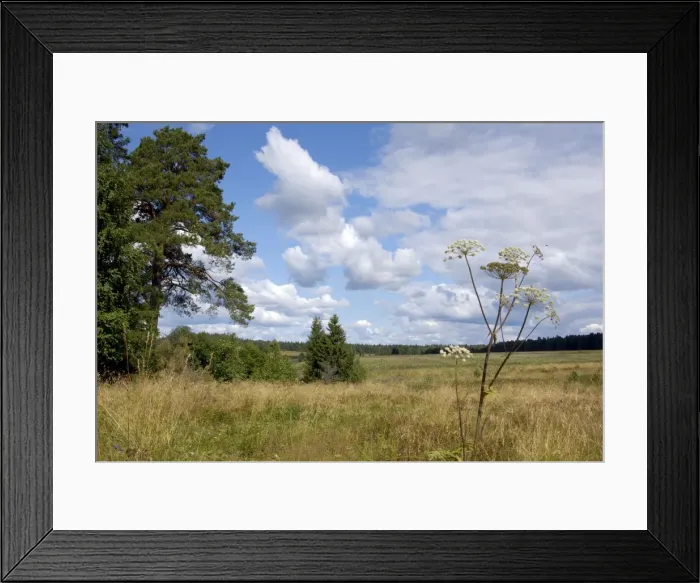 Framed Print : Picture No. 10870630 Framed Print : Picture No. 10870630