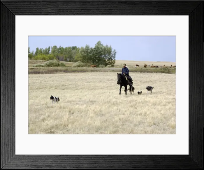 Framed Print : Picture No. 10870637 Framed Print : Picture No. 10870637