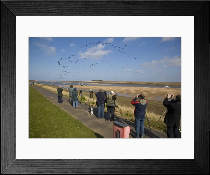 Framed Print : Picture No. 10870842 Framed Print : Picture No. 10870842