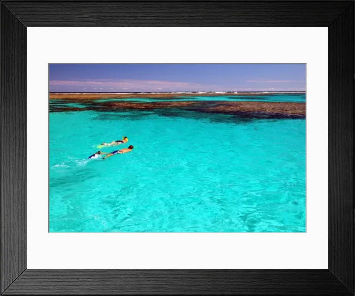 Framed Print : Picture No. 10870722 Framed Print : Picture No. 10870722