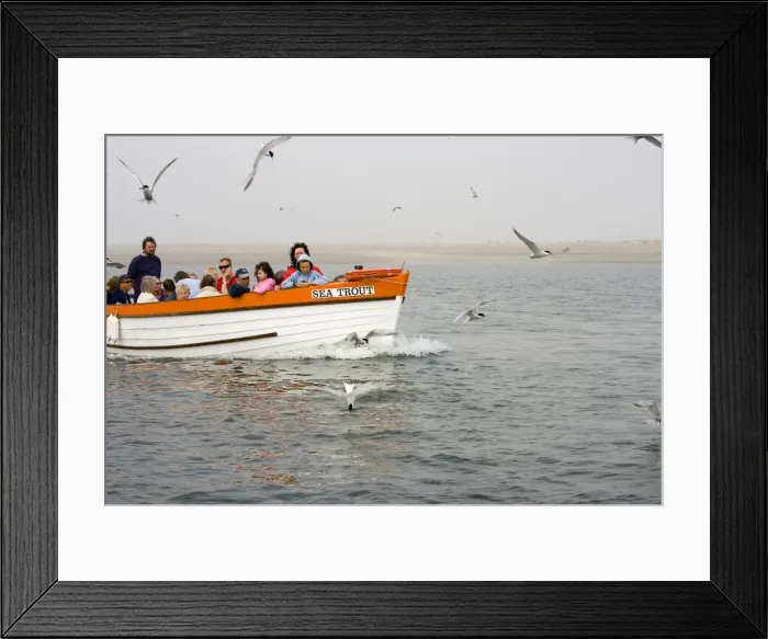 Framed Print : Picture No. 10870866 Framed Print : Picture No. 10870866