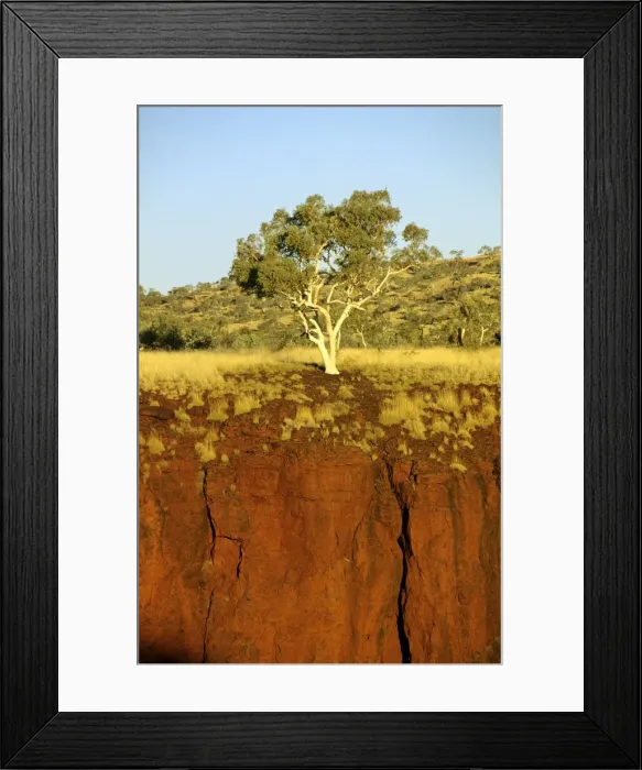 Framed Print : Picture No. 10870728 Framed Print : Picture No. 10870728