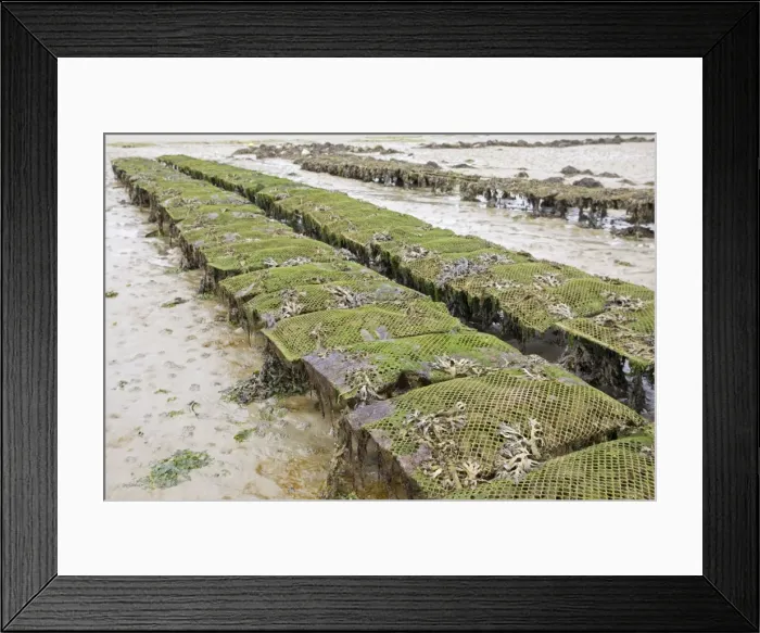 Framed Print : Picture No. 10871040 Framed Print : Picture No. 10871040