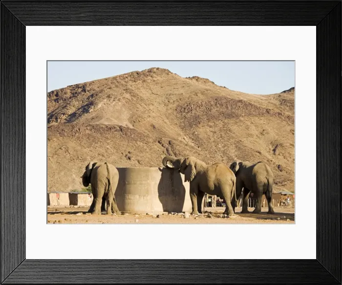 Framed Print : Picture No. 10871023 Framed Print : Picture No. 10871023