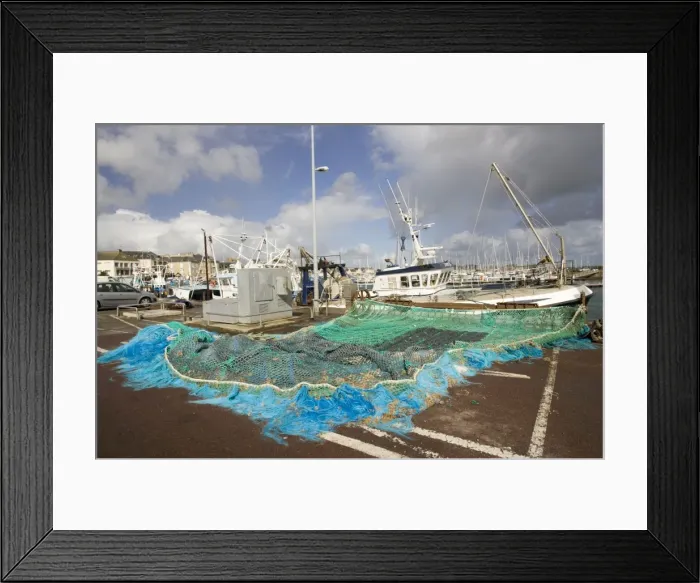 Framed Print : Picture No. 10871090 Framed Print : Picture No. 10871090