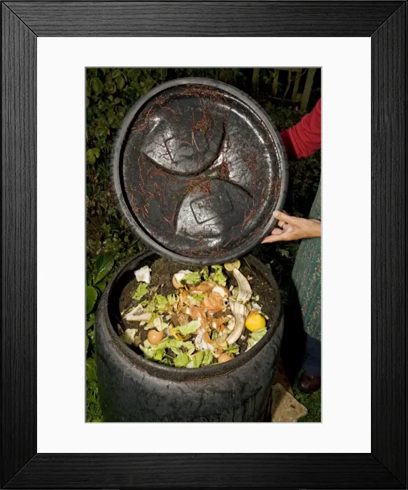 Framed Print : Picture No. 10871140 Framed Print : Picture No. 10871140