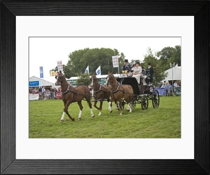Framed Print : Picture No. 10871108 Framed Print : Picture No. 10871108