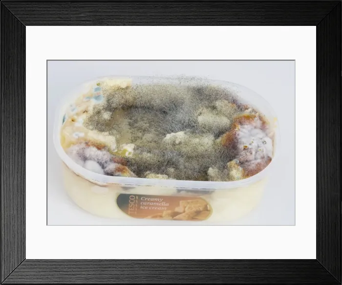 Framed Print : Picture No. 10871143