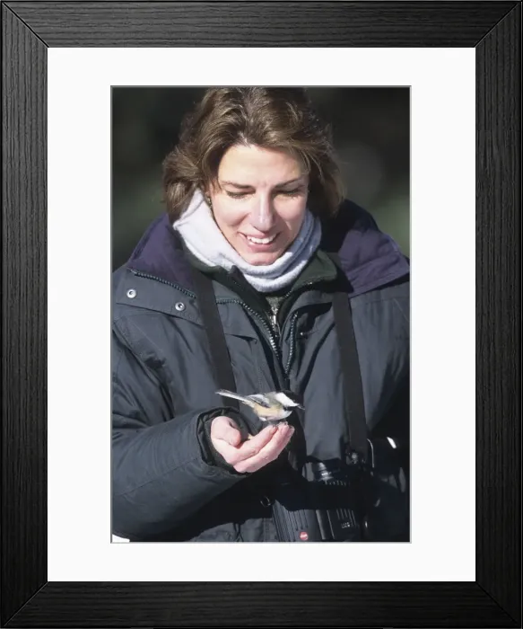 Framed Print : Picture No. 10871218 Framed Print : Picture No. 10871218