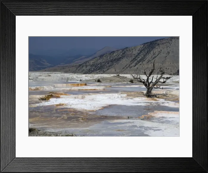 Framed Print : Picture No. 10871369 Framed Print : Picture No. 10871369