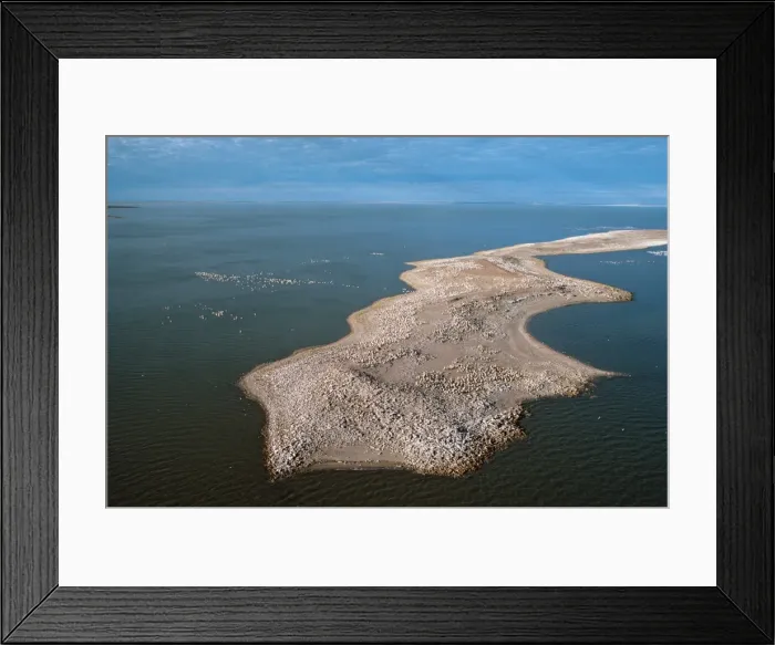 Framed Print : Picture No. 10871321 Framed Print : Picture No. 10871321