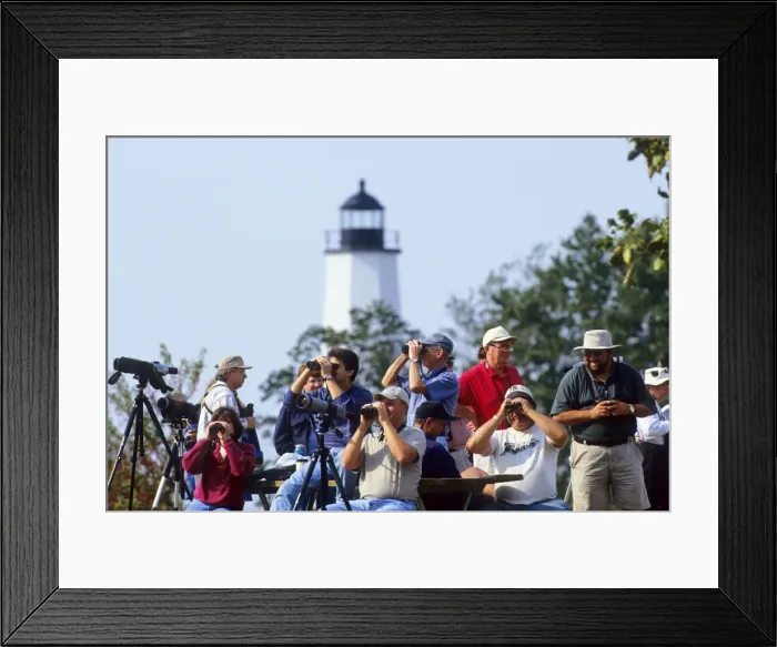 Framed Print : Picture No. 10871219 Framed Print : Picture No. 10871219