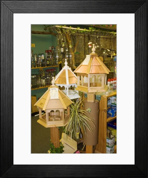 Framed Print : Picture No. 10871516