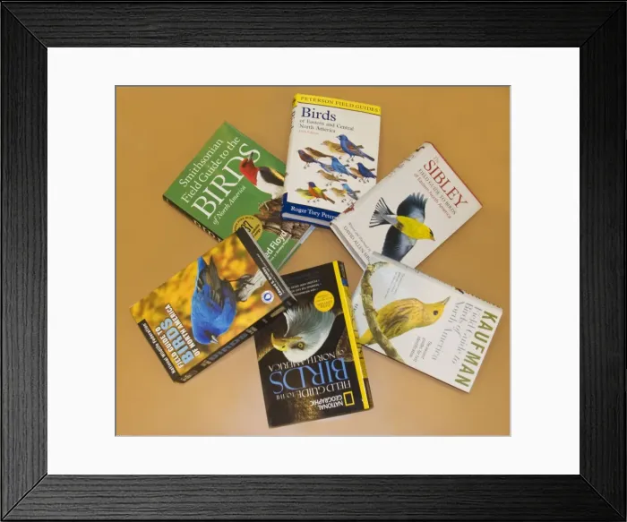 Framed Print : Picture No. 10871519 Framed Print : Picture No. 10871519