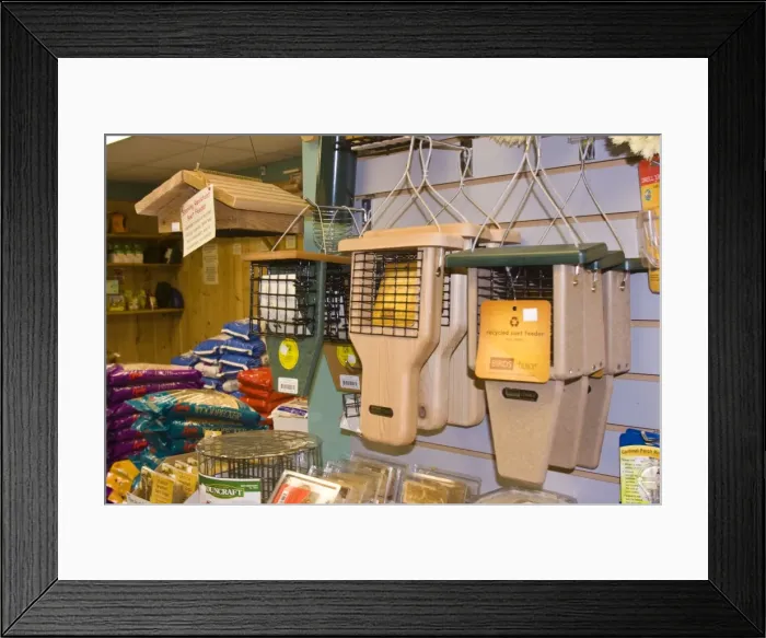 Framed Print : Picture No. 10871573 Framed Print : Picture No. 10871573