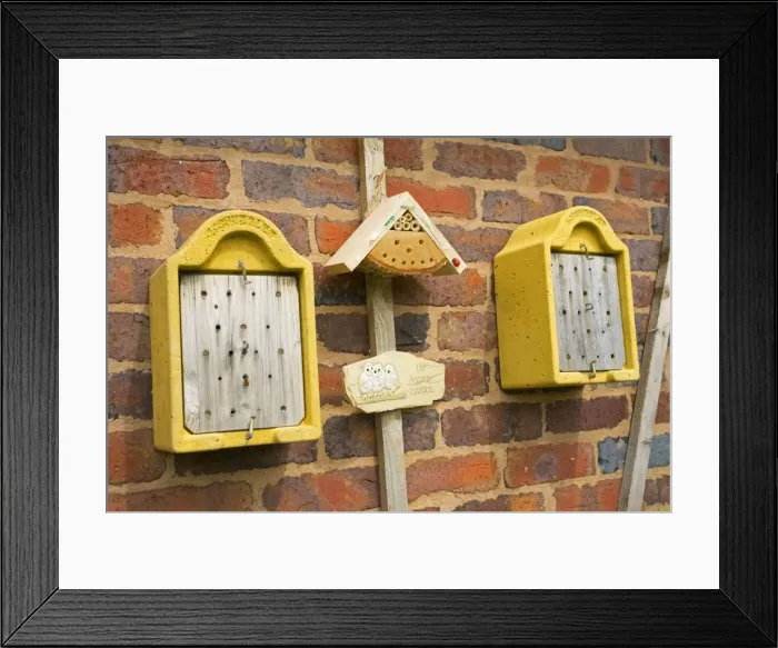 Framed Print : Picture No. 10871741