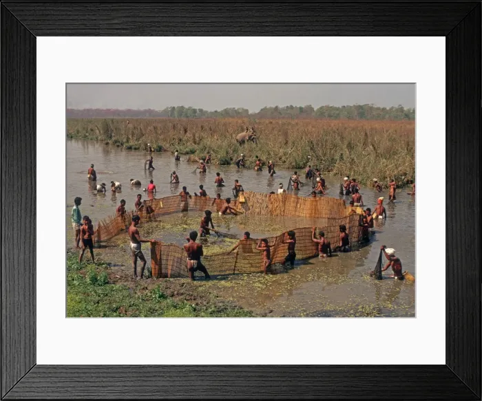 Framed Print : Picture No. 10871743 Framed Print : Picture No. 10871743