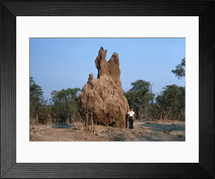 Framed Print : Picture No. 10871753 Framed Print : Picture No. 10871753